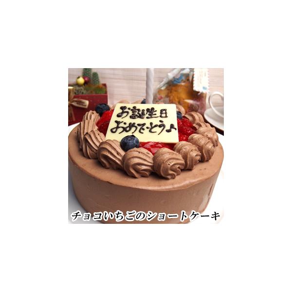 クリスマスケーキ チョコレート いちごショートケーキ 送料無料 ギフト プレゼント 21 Ird Xmas オーナメント キャンドル付き Buyee Buyee Japanese Proxy Service Buy From Japan Bot Online