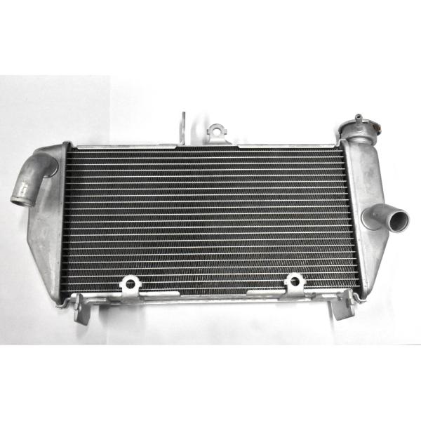 YZF-R25 ラジエーター、ブロワーASSY ヤマハ純正部品 ラジエーター 1WD-E2461-00 YZF-R25 2015 : 神戸オート