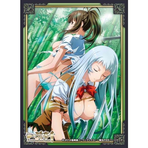 キャラクタースリーブマット 一騎当千 Extravaganza Epoch 趙雲 三厳 Enm 011 Buyee Buyee Jasa Perwakilan Pembelian Barang Online Di Jepang
