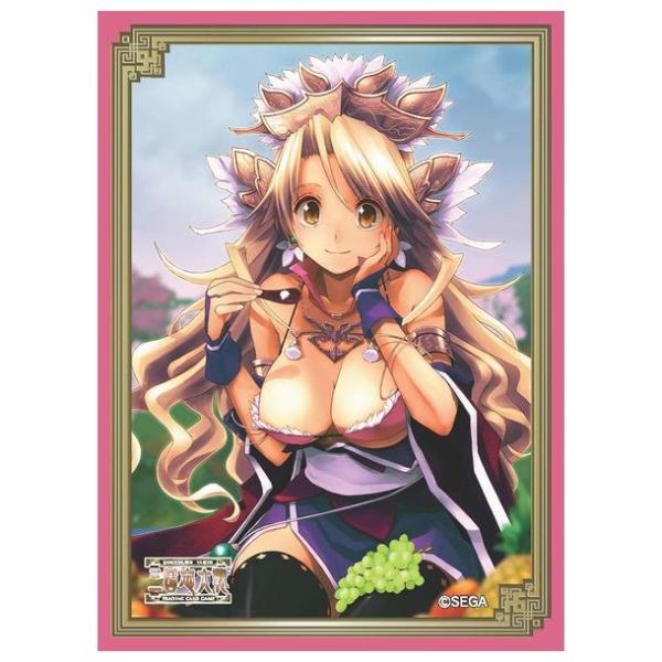 Oug[fBOJ[hQ[ ItBVX[u Vol.8@Íc@