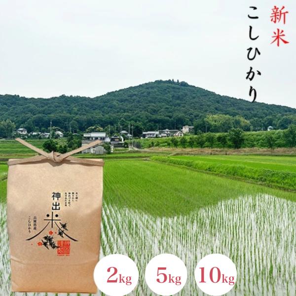 新米 コシヒカリ 【受注後精米】 神出米 玄米 白米  2kg 5kg 10kg 令和8年産 兵庫県 農家 直送 美味しい 無洗米 お返し 内祝 熨斗 送料無料