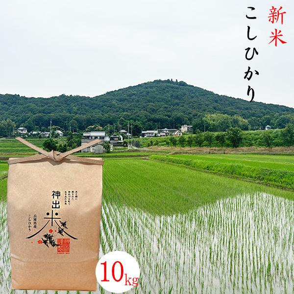 新米 コシヒカリ 【受注後精米】 神出米 玄米 白米 10kg 令和8年産 兵庫県 農家 直送 美味しい 無洗米 お返し 内祝 熨斗 送料無料