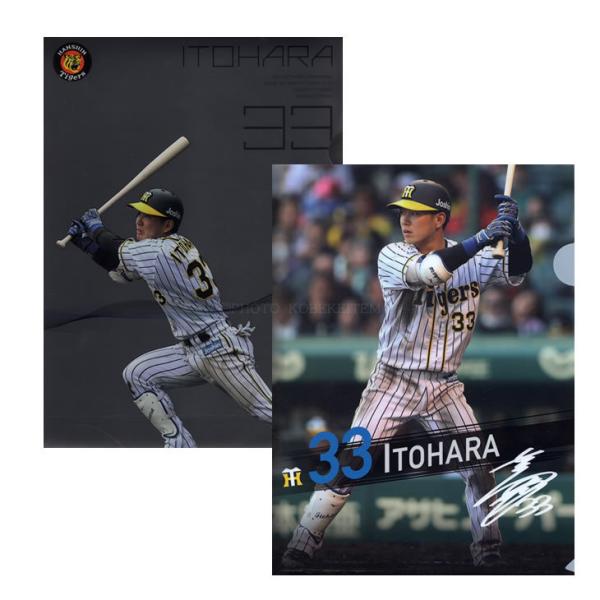 阪神タイガース グッズ 糸原 糸原健斗 選手 A4 クリアファイル 2枚セット