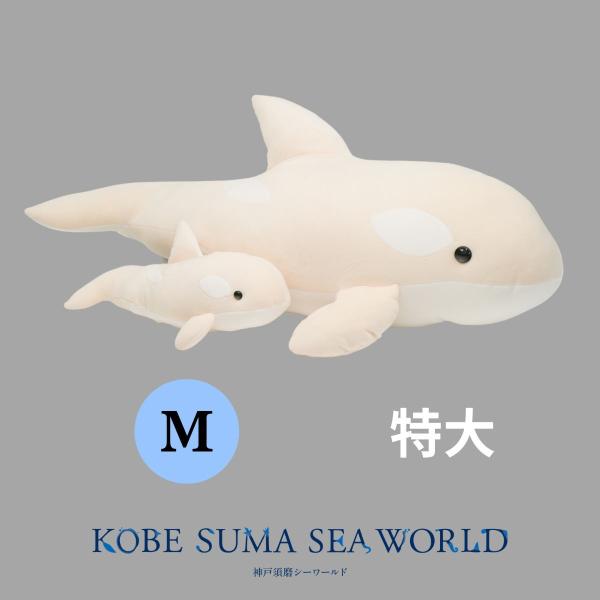 コットンクラウディ シロシャチ