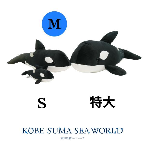 コットンクラウディ Mシャチ : 神戸須磨シーワールドオンライン