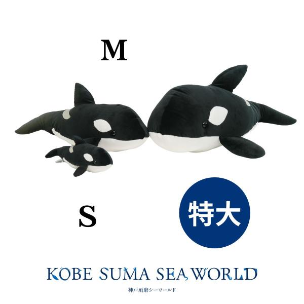 コットンクラウディ 特大シャチ : 神戸須磨シーワールドオンライン