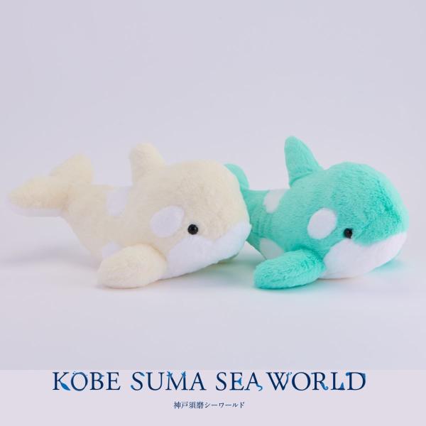シャチカラフルぬいぐるみ（ミントグリーン） : 神戸須磨シーワールド