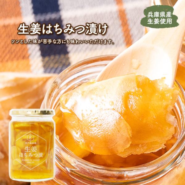 生姜 はちみつ漬け 400g 無添加 シロップ 蜂蜜 ハチミツ ジンジャー 生姜湯 しょうが プレゼント