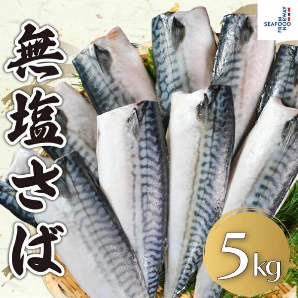 無塩さば 約 5kg さば サバ 鯖 冷凍 冷凍サバ 無塩 朝食 お弁当 おかず おつまみ 海鮮 ごはん 食品 送料無料 ギフト 大容量 業務用