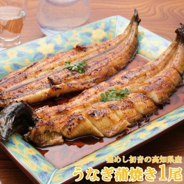 高知県産 うなぎ 蒲焼き 1尾 ウナギ 鰻 国産 蒲焼き 国産うなぎ ギフト お中元 送料無料