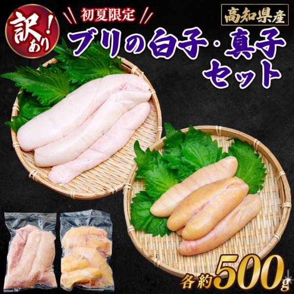 訳あり 高知県産 ブリの白子・真子セット 各500g 魚卵 珍味 卵 魚 煮物 煮つけ 冷凍 お中元 お歳暮