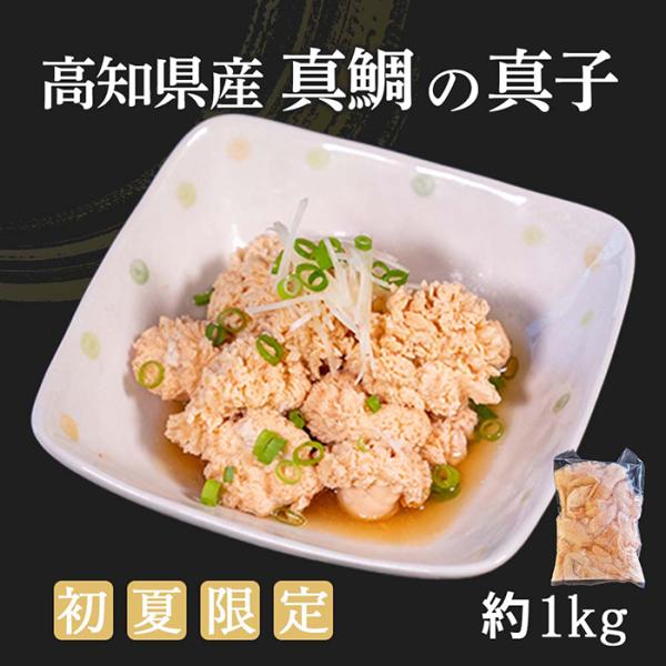 高知県産 真鯛の真子（卵） 約1kg 魚卵 珍味 冷凍 煮付け 煮物 塩焼き 天ぷら 高知 須崎市 大容量