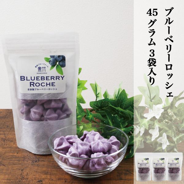 ブルーベリーロッシェ ブルーベリーメレンゲ 加工品 ロッシェ 自家製 3袋セット (1袋15g) 国産ブルーベリー 岡山県産ブルーベリー使用 お取り寄せ