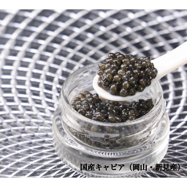 国産キャビア 希少 蝶鮫 新見フレッシュ 15g 岡山県産蝶鮫卵使用 非加熱 塩分5% ギフト対応 冷凍発送