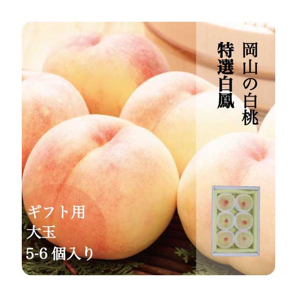桃 岡山 約1.5kg 5-6玉 お中元 ギフト 白鳳 白桃 大玉 1玉 約250-300g 果物 取り寄せ もぎたて発送 農家直送 7月上旬ごろから順次発送予定