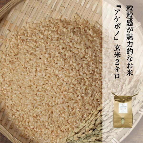 新米 米 2kg 玄米 アケボノ 農家直送 晴れの国岡山 岡山の米 粘り コシ 