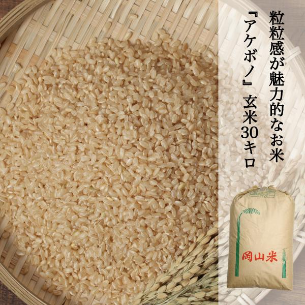 新米 米 30kg 玄米 アケボノ 農家直送 晴れの国岡山 岡山の米 新米 米 30kg 玄米 アケボノ 農家直送 晴れの国岡山 岡山の米