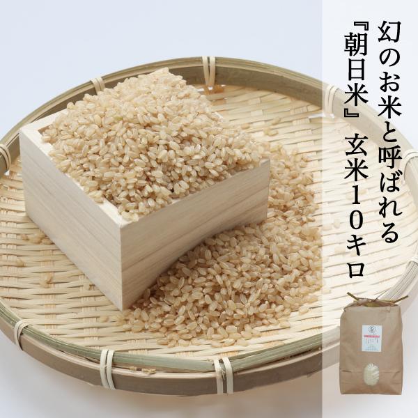 朝日米 玄米10kg（令和6年産・岡山県産） 令和6年産 朝日米 玄米