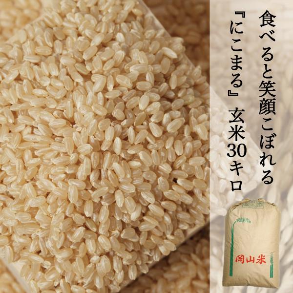 新米 米 30kg 玄米 にこまる 農家直送 笑顔がこぼれる品種 晴れ 新米 米 30kg 玄米 にこまる 農家直送 笑顔がこぼれる品種 晴れ