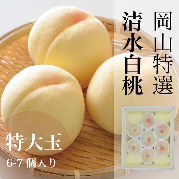 お中元 桃 果物 ギフト用 岡山 白桃 本場 特選清水白桃 特大玉 6 8玉 約2kg 1玉 約300g 予約販売受付 農家直送 もぎたて発送 Shimizu Peach 003 河内工房 通販 Yahoo ショッピング