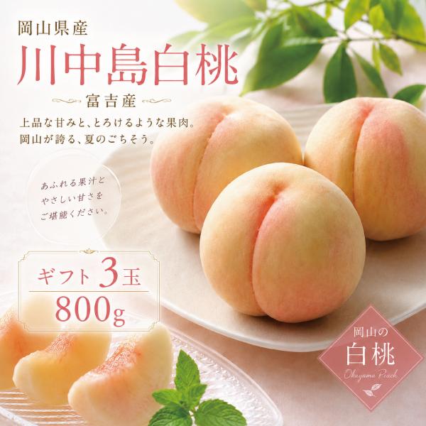 桃 岡山 川中島白桃 白桃 3玉 約800g 大玉 混在 岡山市富吉 お中元 ギフト 取り寄せ 送料無料 8月上旬頃から順次発送予定