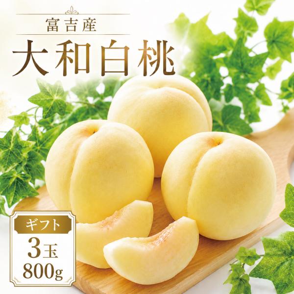 桃 岡山 3玉 約800g お中元 ギフト 大和白桃 白桃 大玉 約350-400g 農家直送 もぎたて発送 白桃 PEACH  希少 伝説の白桃 7月20日頃から順次発送予定