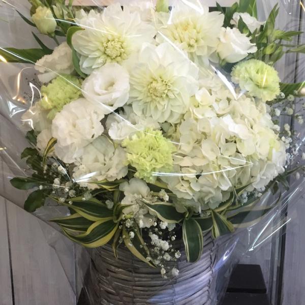 誕生日 花 プレゼント アレンジメント2l グリーン ホワイト系 生花 Buyee Buyee 日本の通販 商品 オークションの代理入札 代理購入