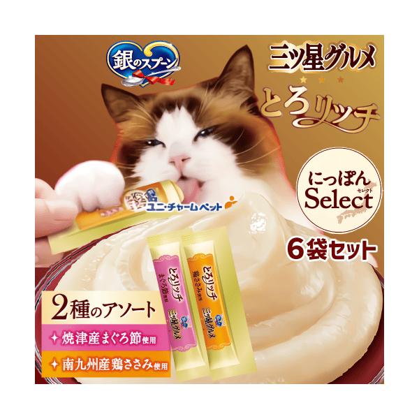 とろリッチ 猫 おやつ キャットフード 銀のスプーン とろリッチ 大容量 三ツ星グルメ とろリッチ 2種アソート まぐろ節と鶏ささみ 6g×8本×6袋