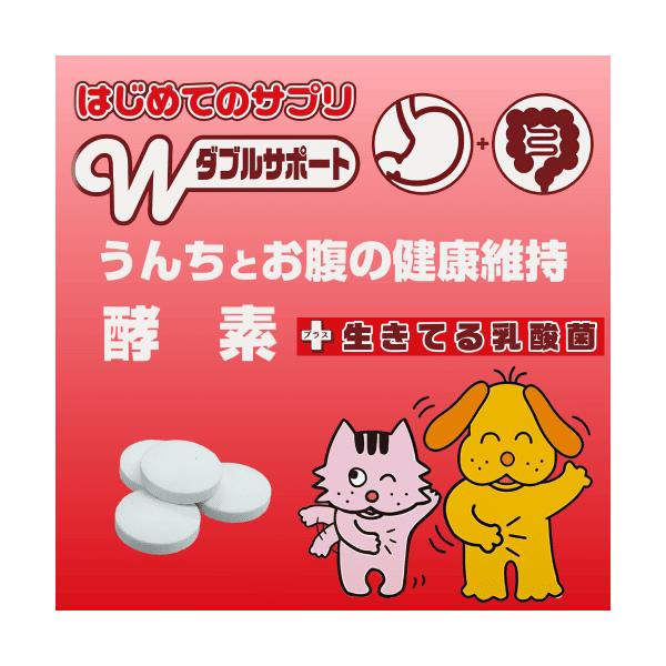 猫 乳酸菌 酵素 猫サプリメント 猫 便秘 猫 乳酸菌 サプリ うんち 便 便通 腸内環境 乳酸菌 毎日免活 腸活 はじめてのサプリ 酵素 30gうんちとお腹の健康維持酵素と生きている乳酸菌を配合した便通と腸内環境の維持が同時に出来る新しい...