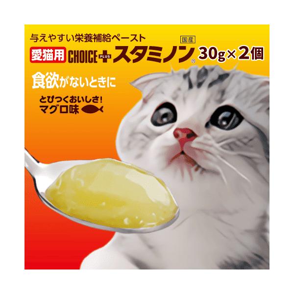 猫 食欲増進 サプリ ペースト 栄養補給 食欲増進 健康維持 食欲ない ビタミン ミネラル タウリン アース チョイスプラス スタミノン 30g２個お徳用食欲がないときに元気と健康をサポート！栄養補給 食欲増進 ペーストタイプ・必須脂肪酸や...
