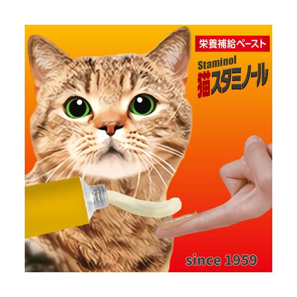 他サイト： 猫風邪 猫サプリ 猫 サプリ スタミノール 栄養補給 健康維持 食欲 元気ない タウリン マグロ味 栄養補給ペースト アース 猫スタミノール 50gの商品画像