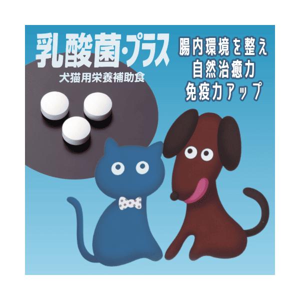 猫 乳酸菌 サプリ 乳酸菌 猫 腸まで届く 善玉菌 オリゴ糖 腸活 腸内フローラ 免疫力 有胞子 現代製薬 犬猫用乳酸菌 乳酸菌・プラス 粒状 48粒お腹の健康をサポートするサプリメント！乳酸菌プラスオリゴ糖オリゴ糖が善玉菌（乳酸菌）のエサ...
