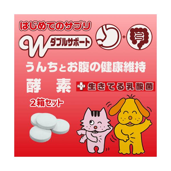 猫 乳酸菌 酵素 猫サプリメント 猫 便秘 猫 乳酸菌 サプリ うんち 便 便通 腸内環境 乳酸菌 毎日免活 腸活 はじめてのサプリ 酵素 30g２箱おまとめ商品お徳用２箱セットうんちとお腹の健康維持酵素と生きている乳酸菌を配合した便通と腸...