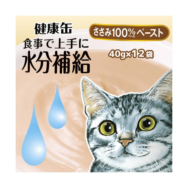 アイシア キャットフード 猫 ウェットフード ウェット 猫パウチ