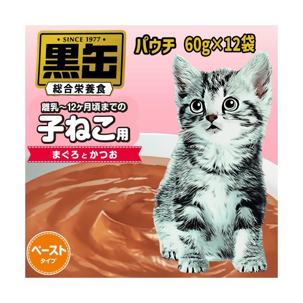 キャットフード　ウエット　いなば　アイシア アイシア（AIXIA） キャットフード ウェット 総合栄養食 猫 ウェット