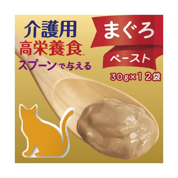 アイシア（AIXIA） キャットフード 猫 ウェットフード キャットフード