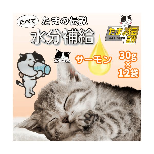 たまの伝説 キャットフード ウェットフード 水分補給 猫 パウチ 水飲まない 夏 熱中症 冬 乾燥 たまの伝説たべて水分補給 サーモン 30g×１２袋