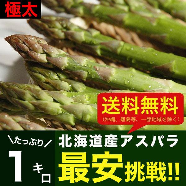 アスパラ 極太2L 1kg (5月下旬前後頃より順次発送) (収穫次第出荷/お届け日指定不可/選択無効/キャンセル不可/受取不在注意)