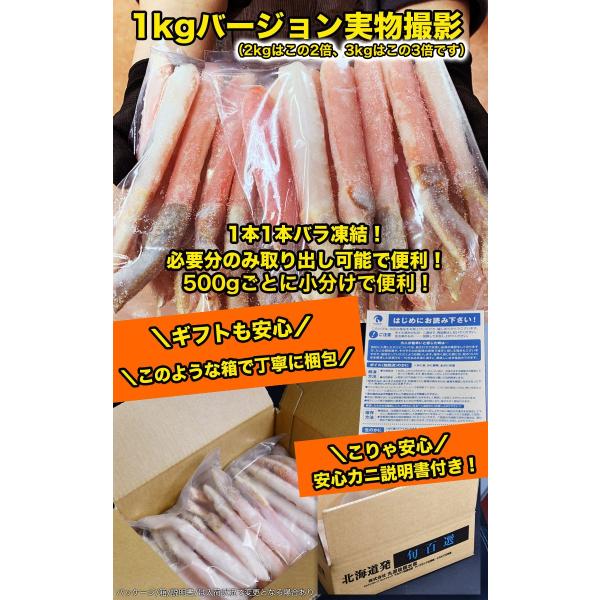 �Y���C�K�j �� �ނ��g �|�[�V���� ���d�� 1kg�i20�`30�{�j �����g �I �J�j ���� ���킢���� ���ɂ���ԁ@�J�j�� ���i�摜3