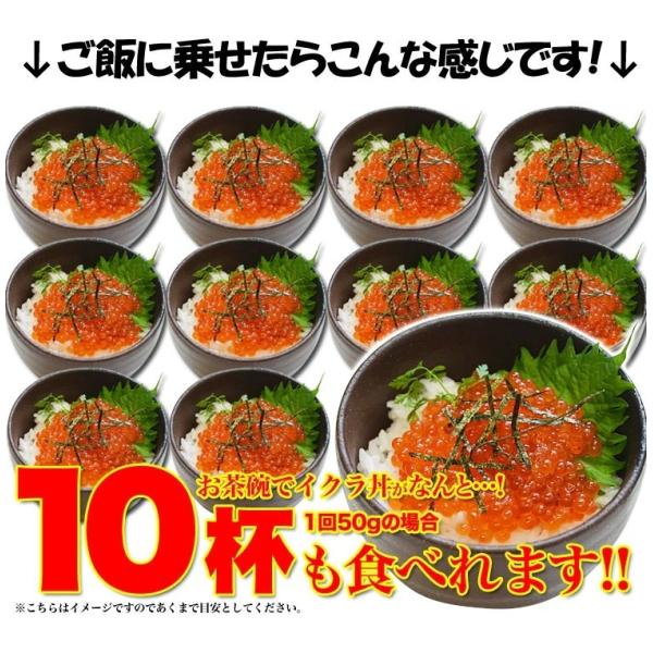 ������@�C�N���@500g�@�ݖ��Ђ��@�k�C���Y�@�����i�C�N�� �芪�����i �`���V���i�j ���i�摜4