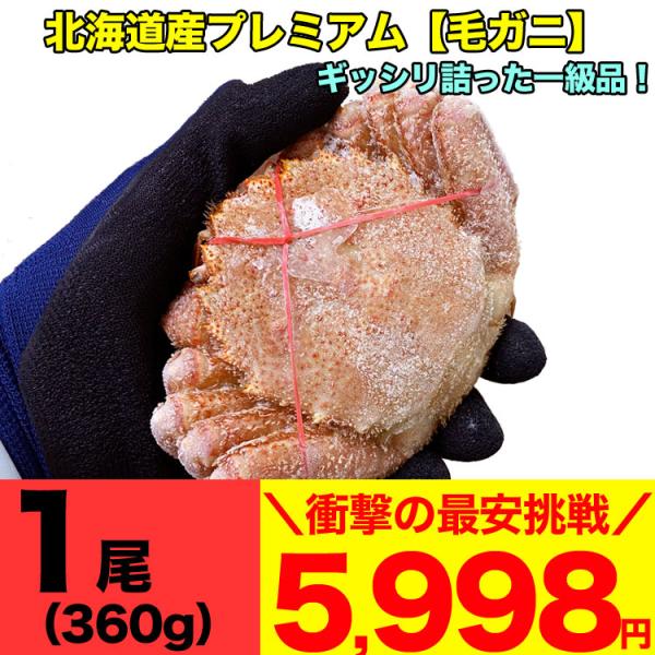 毛ガニ 360g前後×1尾 プレミアム北海道産(毛蟹 毛がに kegani けがに かに カニ味噌 蟹味噌)