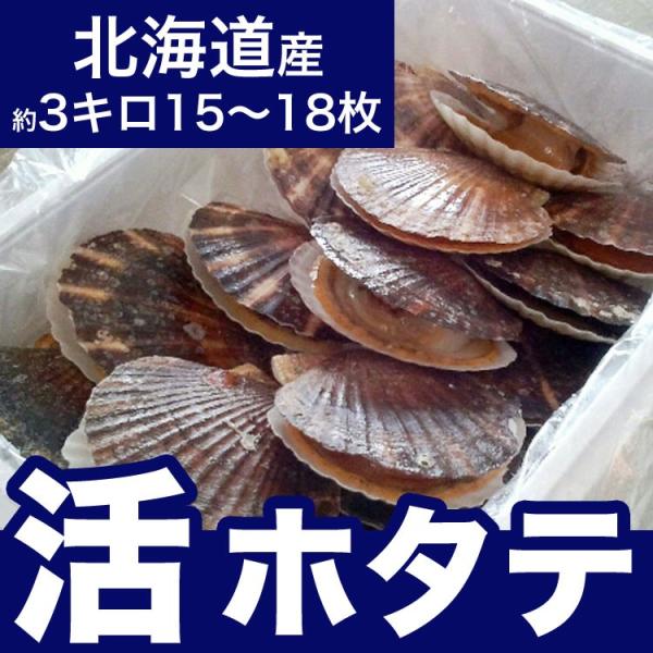 【お届け日指定不可】ホタテ ほたて 活 貝付 2.5〜3kg 15〜18枚前後 (収獲次第出荷/お届け日指定不可/選択無効/キャンセル不可/不在注意)（1〜2週間程度で出荷）
