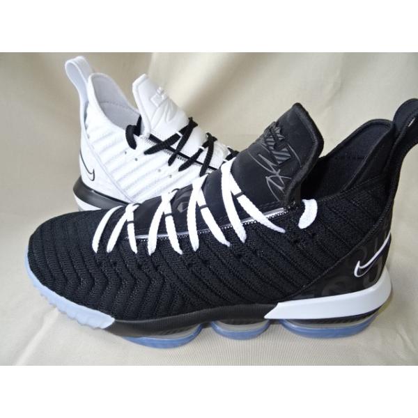 nike lebron xvi equality