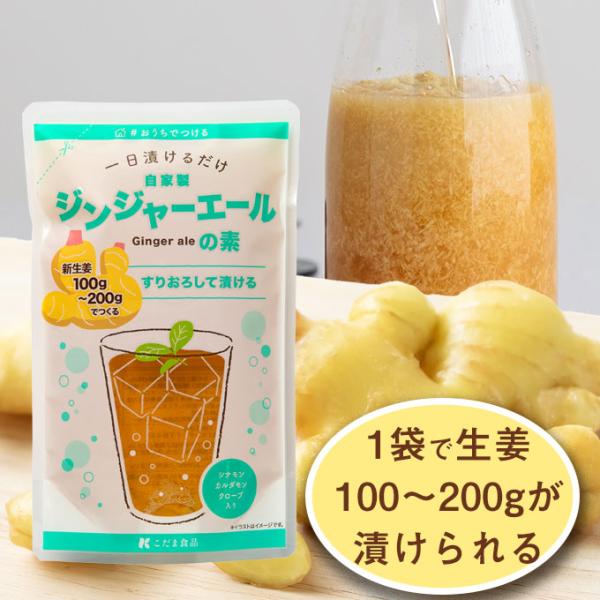 自家製 ジンジャーエールの素 350ml しょうがをすりおろして漬け