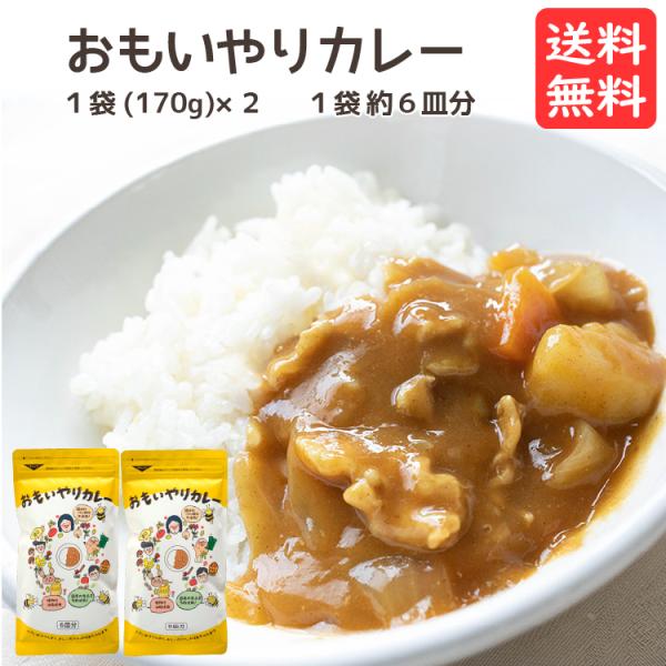 おもいやりカレー 2袋セット (6食分(170g)×2袋) 送料無料 甘口 カレールー 子供 カレールウ カレールゥ カレー粉 無添加 添加物不使用 メール便