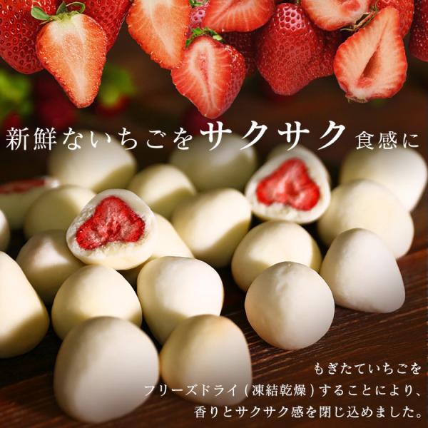 いちご チョコ イチゴ チョコレート バレンタイン ホワイトデー ホワイトチョコ いちごチョコ フリーズドライ ホワイトチョコがけ 300g 送料無料 Buyee Buyee 日本の通販商品 オークションの代理入札 代理購入