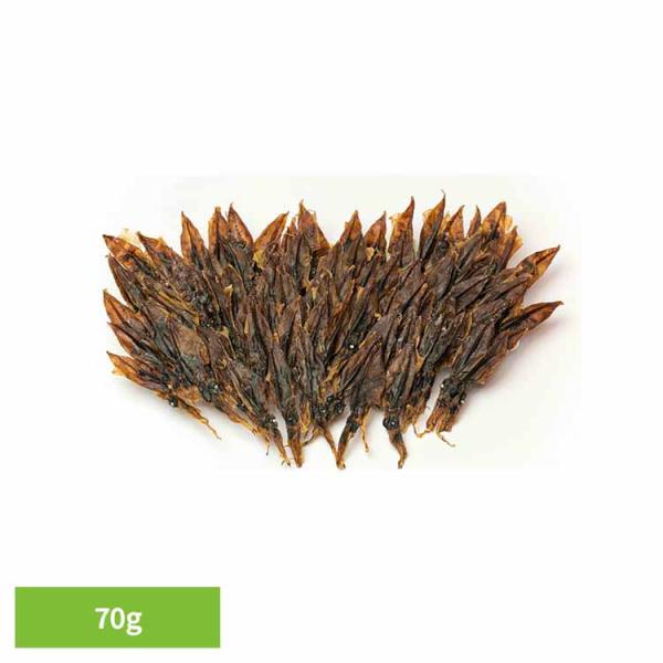 （検索用：ホタルイカ 素干し 日本海 干物 つまみ 肴 送料無料 たっぶり 手間ひま 炙り ホタルイカ 素干し 日本海 干物 つまみ 肴 送料無料 たっぶり 手間ひま 炙り 濃厚 常温 ）●翌日優良配送対象商品につきまして●下記の場合は対象...