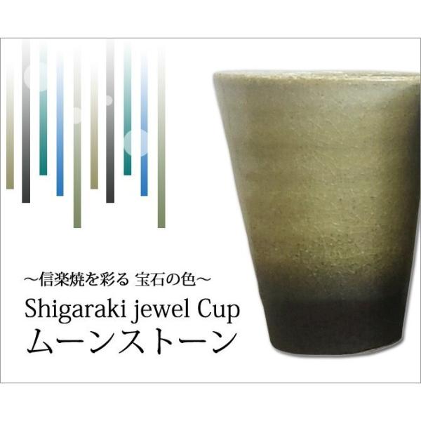 My Jbv Rbv  bN   Shigaraki jewel Cup [Xg[
