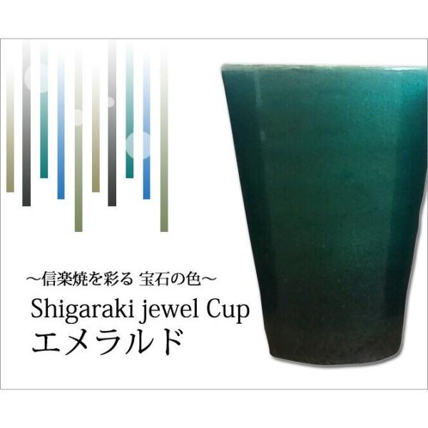 My Jbv Rbv  bN   Shigaraki jewel Cup Gh