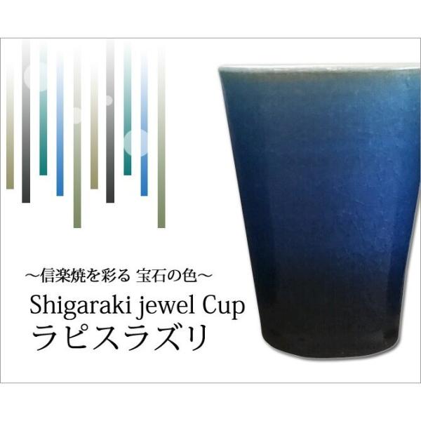 My Jbv Rbv  bN   Shigaraki jewel Cup sXY